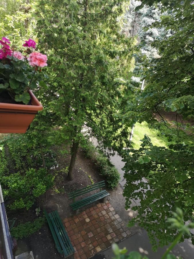 Natasa Apartman Orosháza Eksteriør bilde